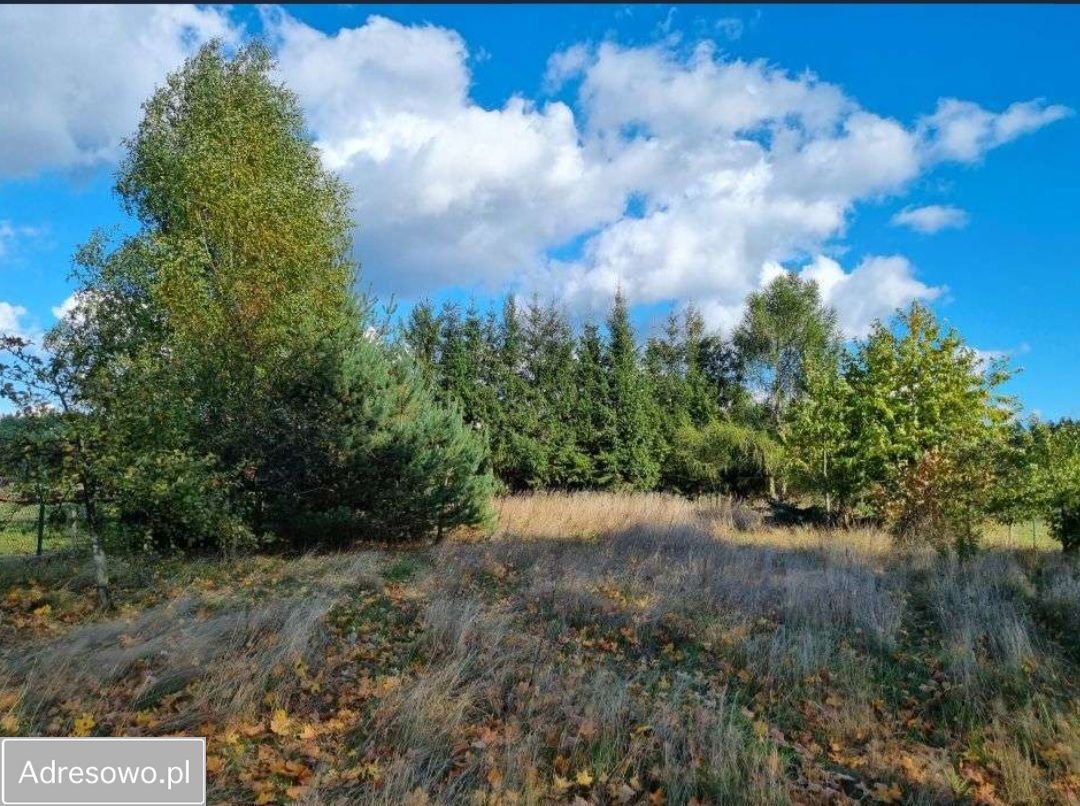 Działka budowlana Faryny