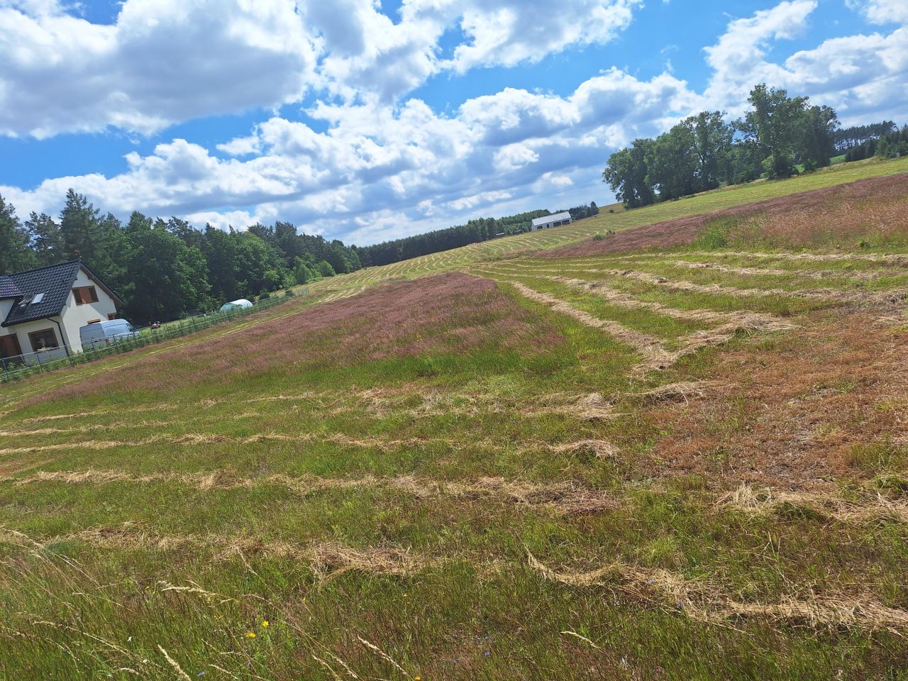Działka rolno-budowlana Łabuń Mały. Zdjęcie 2