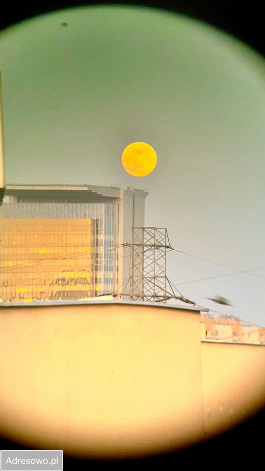 Mieszkanie 2-pokojowe Warszawa Gocław. Zdjęcie 9