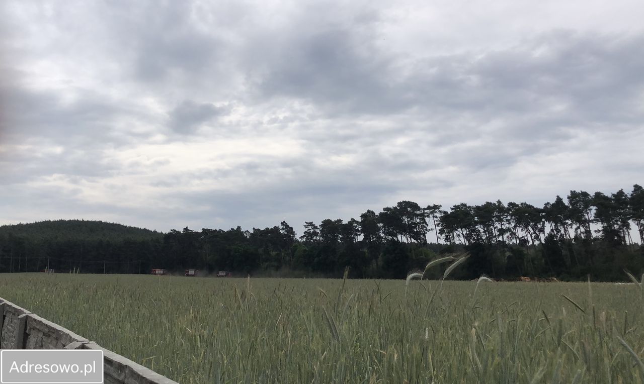 dom wolnostojący, 3 pokoje Grodzisko. Zdjęcie 6