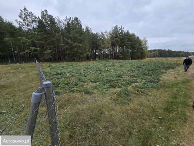 Działka budowlana Lubiewice. Zdjęcie 1