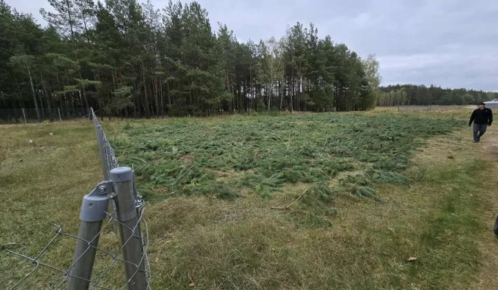 Działka budowlana Lubiewice