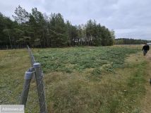 Działka budowlana Lubiewice