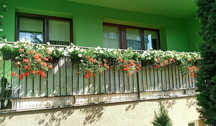 Mieszkanie 3-pokojowe Olszyna, ul. Kolejowa