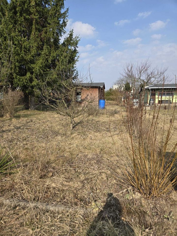 Działka rod Wolsztyn, ul. Zielona. Zdjęcie 3