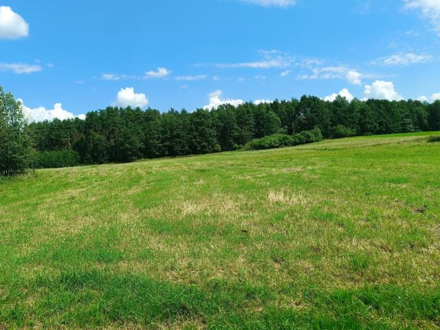 Działka rolna Wilczyny. Zdjęcie 1