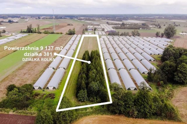 Działka rolno-budowlana Grotki. Zdjęcie 1