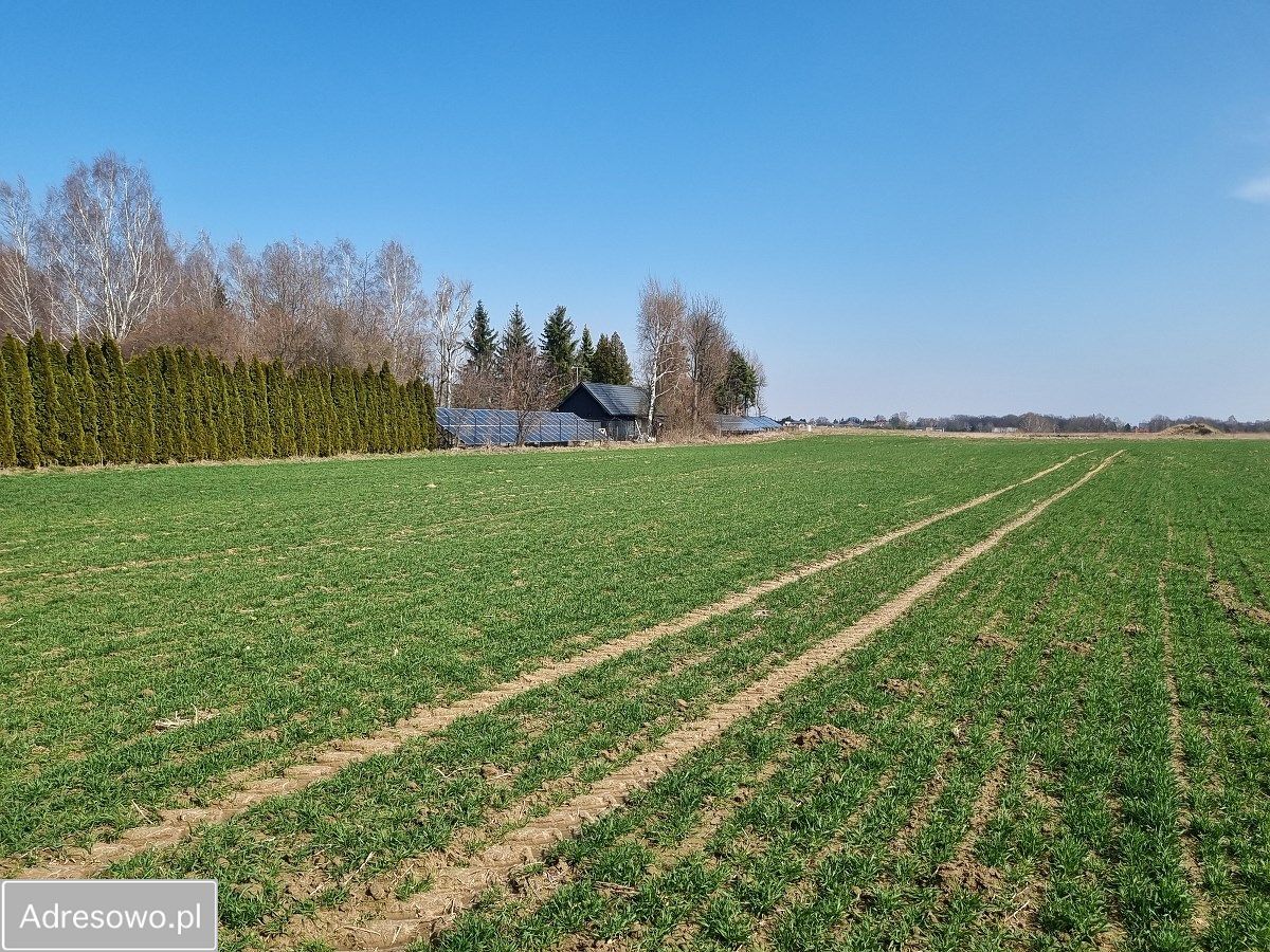 Działka rolna Lipniak. Zdjęcie 9