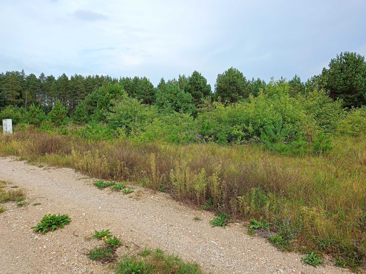 Działka budowlana Dalny Las