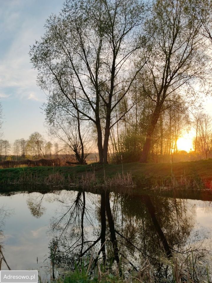 siedlisko, 3 pokoje Cicibór Mały. Zdjęcie 19