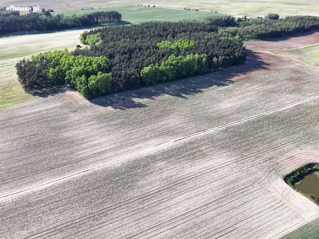 Działka rolna Józefinka. Zdjęcie 11
