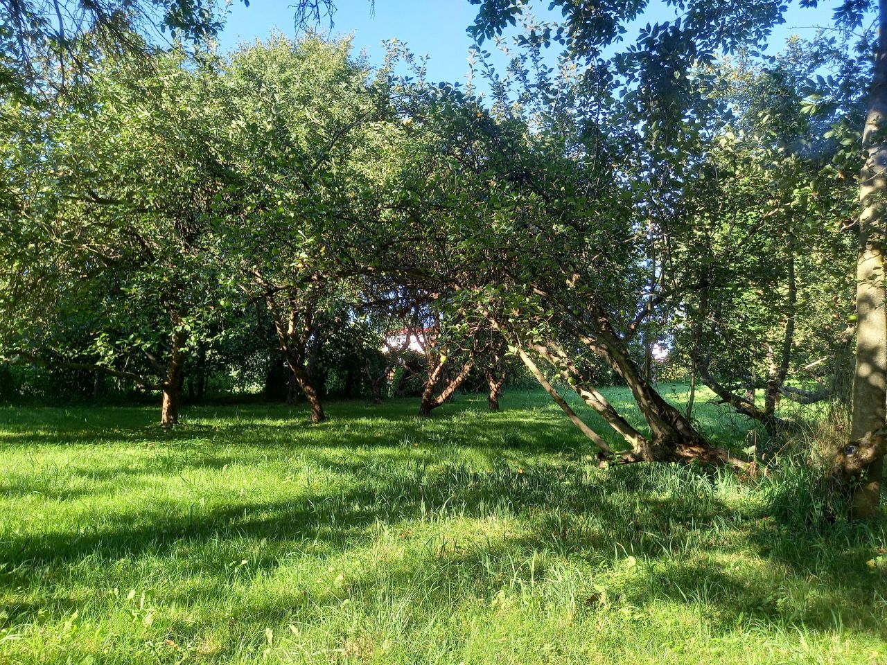 dom wolnostojący, 10 pokoi Cieszyn Gułdowy, ul. Gospodarska. Zdjęcie 23