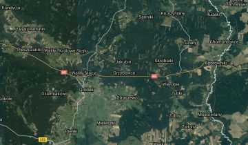 Działka siedliskowa Grzybowce
