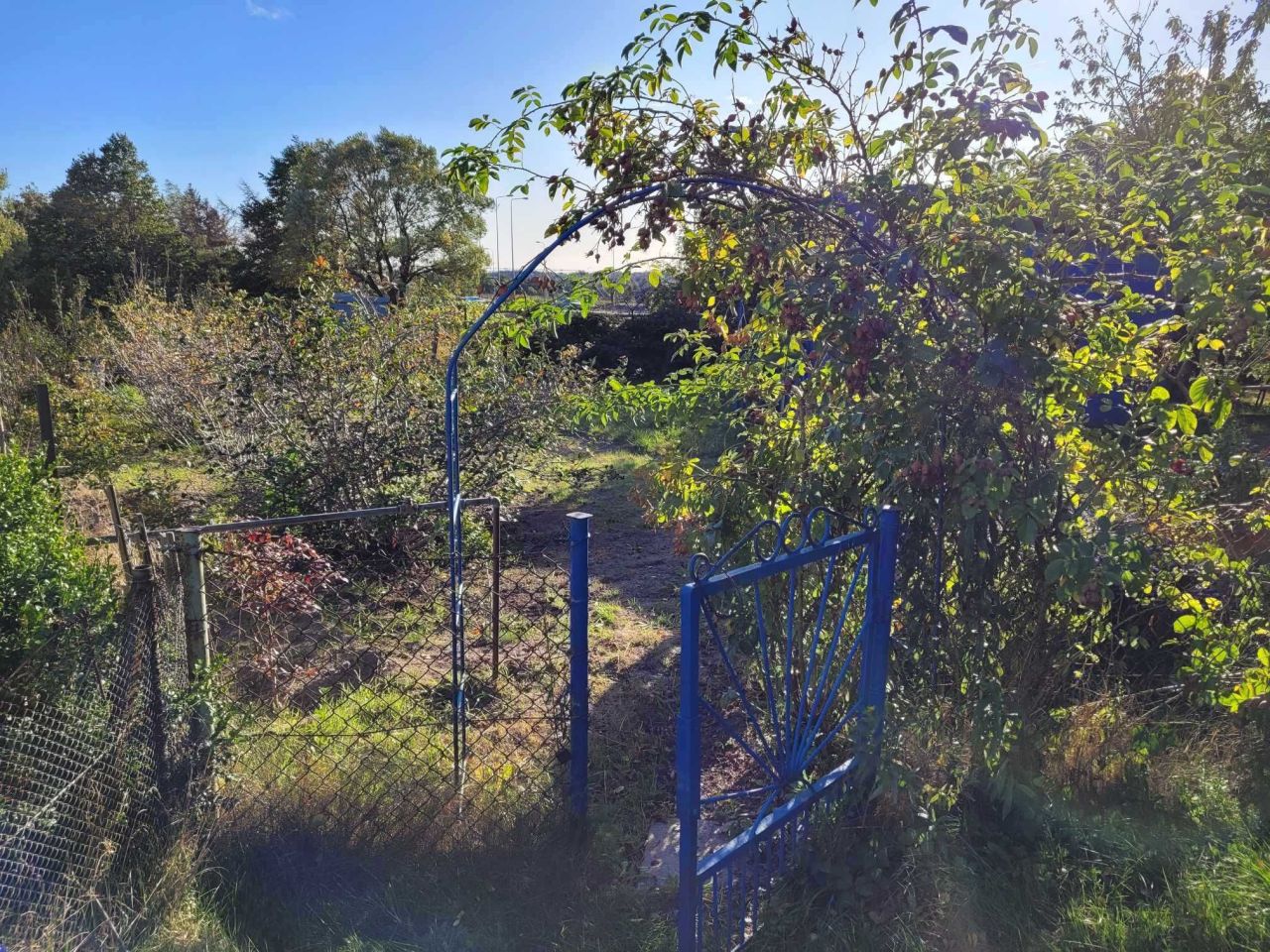 Działka rod Gdańsk Brętowo, ul. mjr. Mieczysława Słabego. Zdjęcie 4