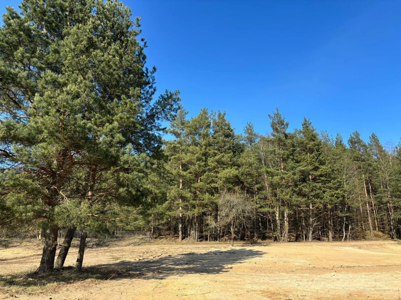 Działka budowlana Kiersztanowo. Zdjęcie 4