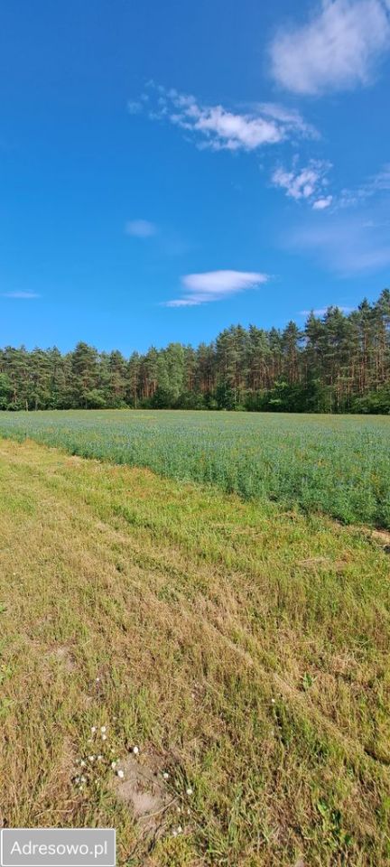 dom wolnostojący, 3 pokoje Nowa Wrona. Zdjęcie 8