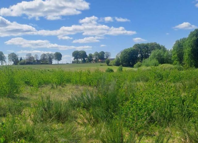 Działka budowlana Budno. Zdjęcie 1