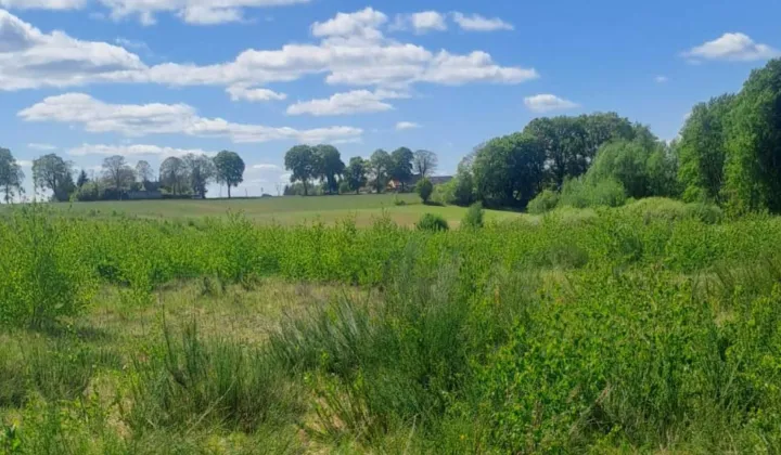 Działka budowlana Budno