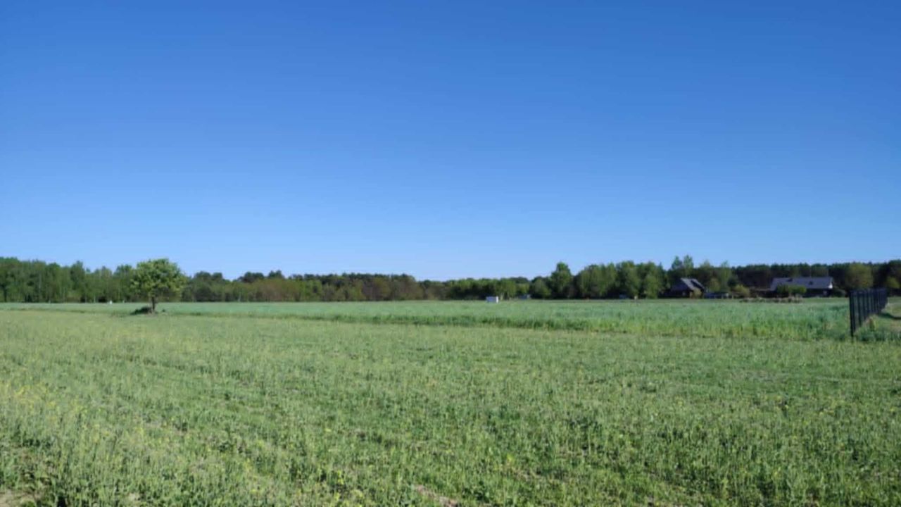 Działka rekreacyjna Krasne. Zdjęcie 3