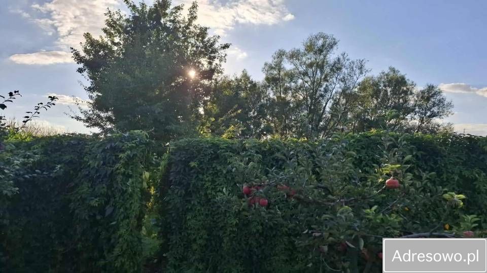 dom wolnostojący Piskorczyn. Zdjęcie 4