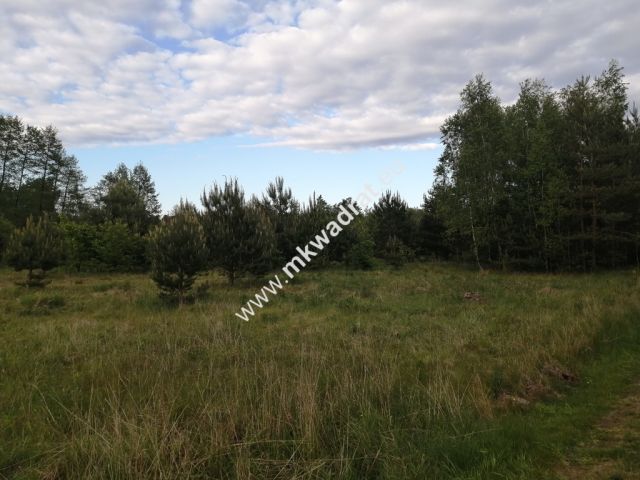 Działka budowlana Budy Zaklasztorne. Zdjęcie 6