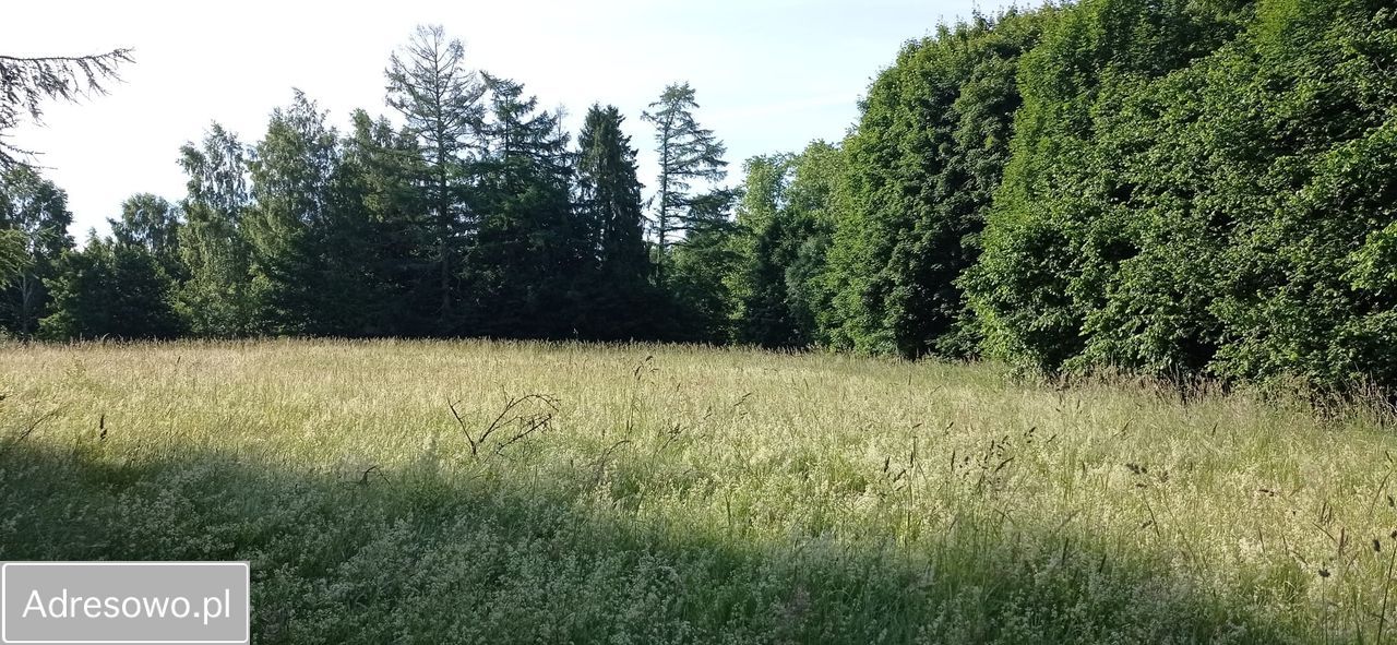 Działka budowlana Cetuń. Zdjęcie 10