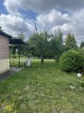 Działka rod Łódź Dąbrowa. Zdjęcie 2
