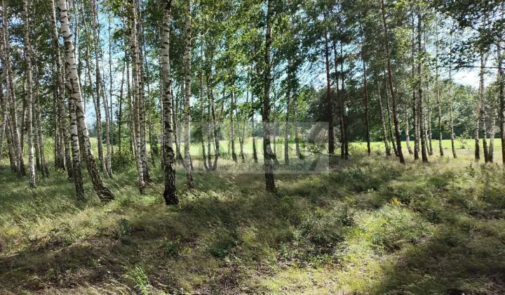 Działka budowlana Gawartowa Wola