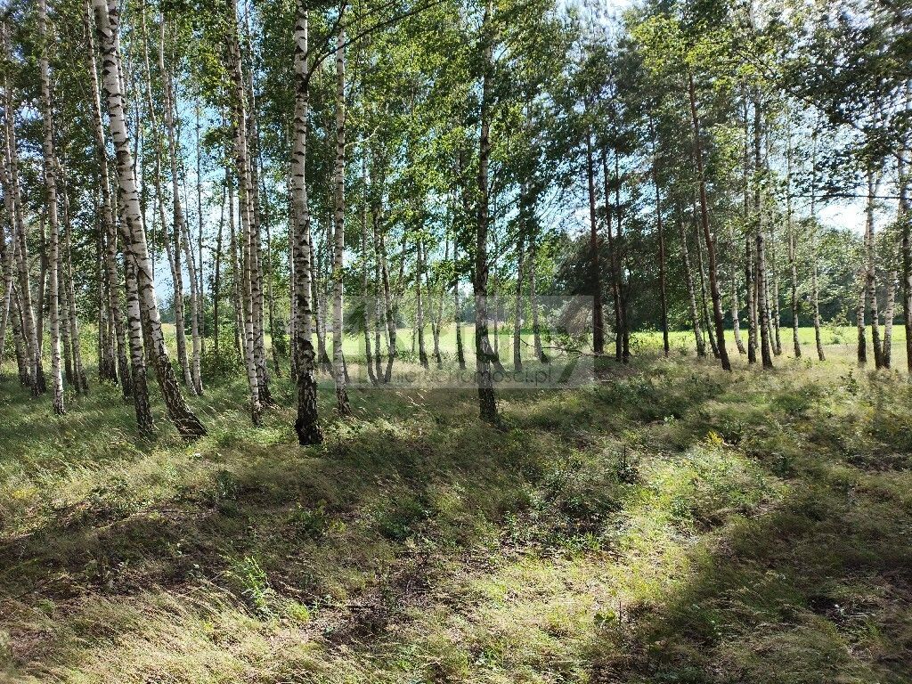 Działka budowlana Gawartowa Wola. Zdjęcie 1