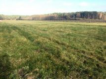 Działka rolna Leniuszki. Zdjęcie 3