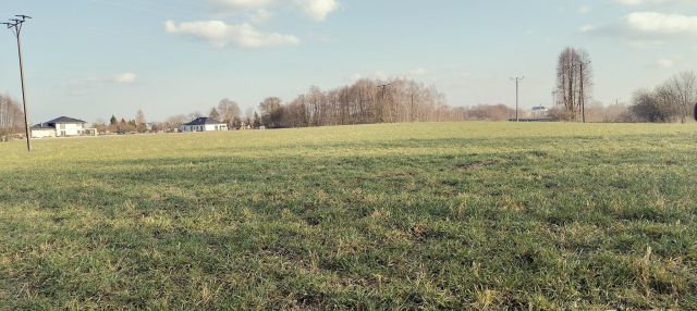 Działka rolno-budowlana Sieniawa. Zdjęcie 1