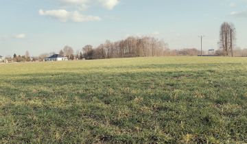 Działka rolno-budowlana Sieniawa