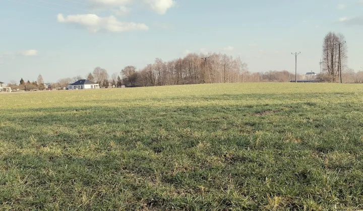 Działka rolno-budowlana Sieniawa