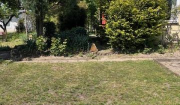 Działka rod Poznań Strzeszyn, ul. Melchiora Wańkowicza