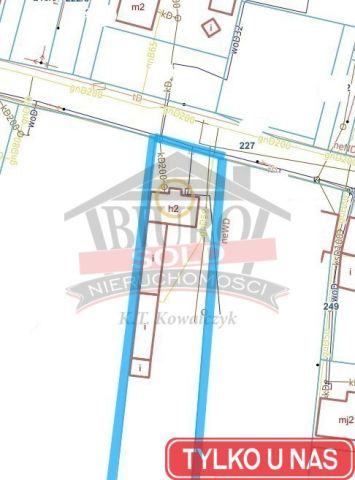 Lokal Ozimek. Zdjęcie 13