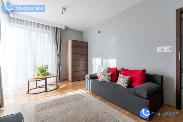 Mieszkanie 2-pokojowe Kraków Zabłocie, ul. Przewóz. Zdjęcie 1