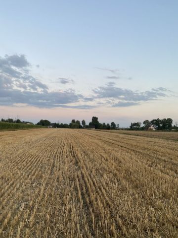 Działka rolno-budowlana Żbiki. Zdjęcie 1