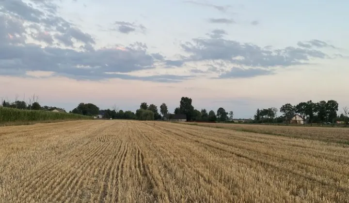 Działka rolno-budowlana Żbiki