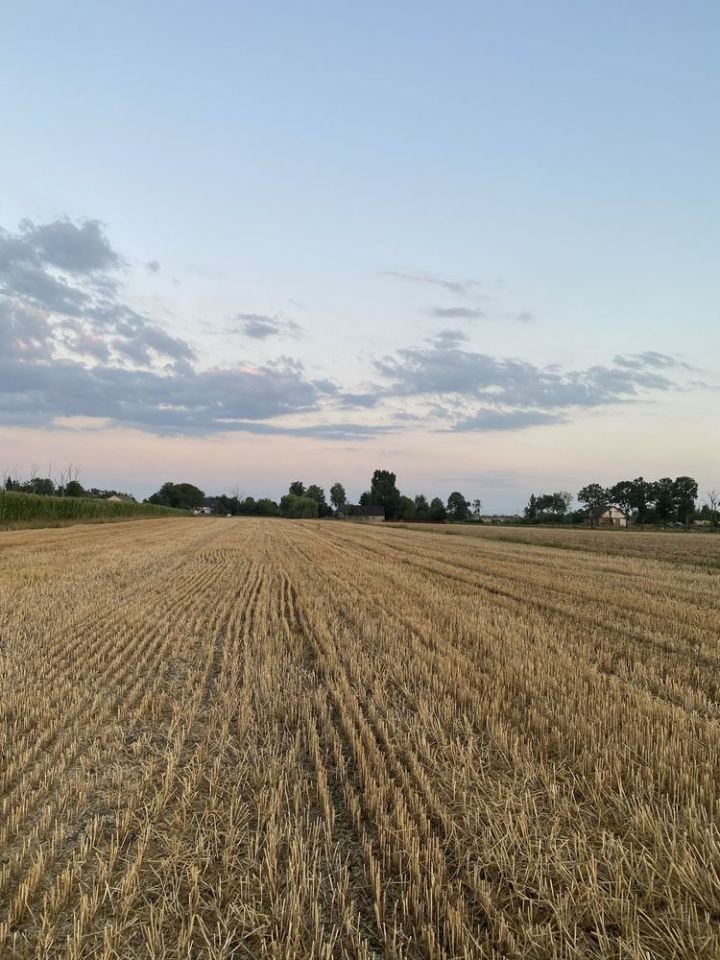 Działka rolno-budowlana Żbiki. Zdjęcie 1