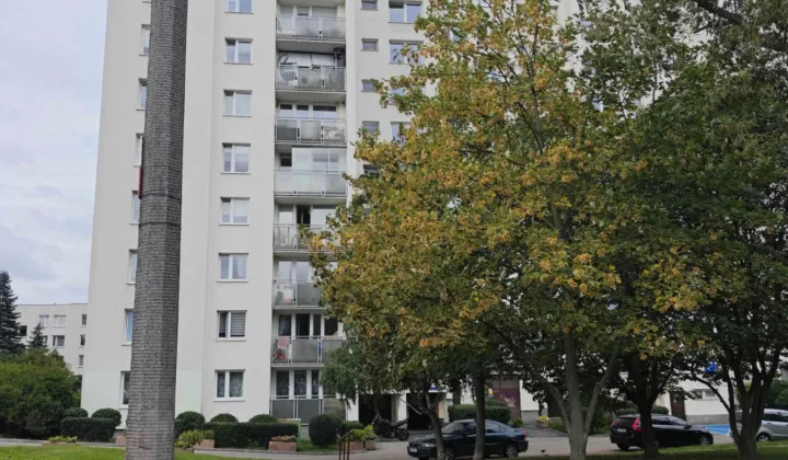 Mieszkanie 1-pokojowe Warszawa Ursynów, ul. Dereniowa