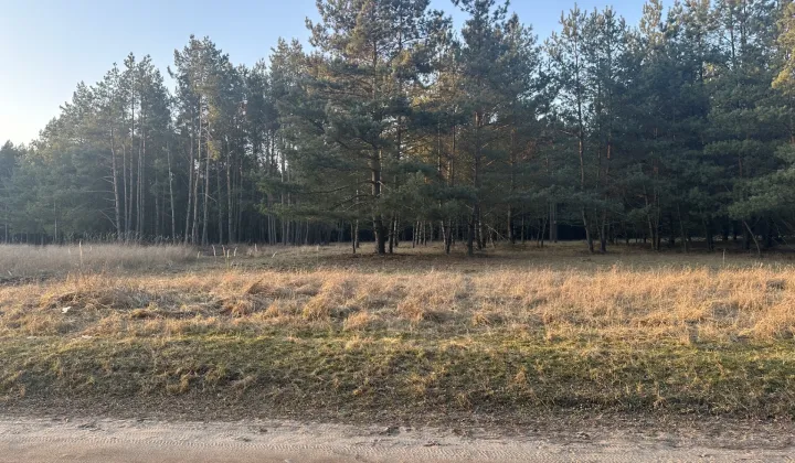 Działka budowlana Potasze, ul. Sosnowa