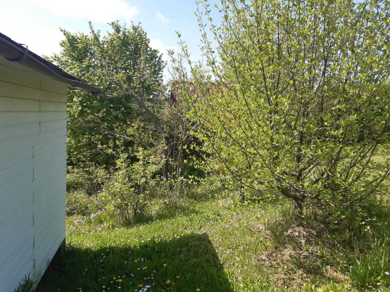 Działka rod Krosno. Zdjęcie 7