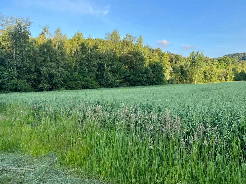 Działka budowlana Siołkowa Zagórze. Zdjęcie 7