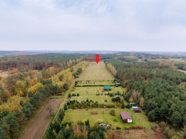 Działka budowlana Pieńki Henrykowskie. Zdjęcie 7