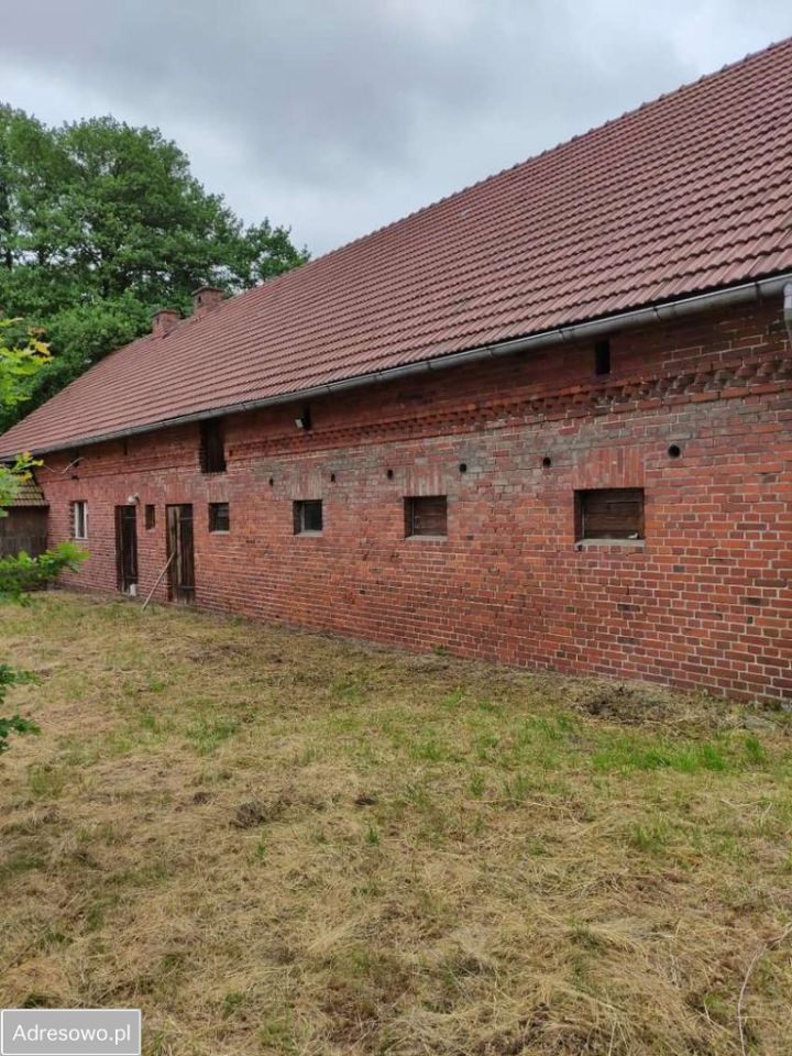 Działka rolna Osiecko. Zdjęcie 6
