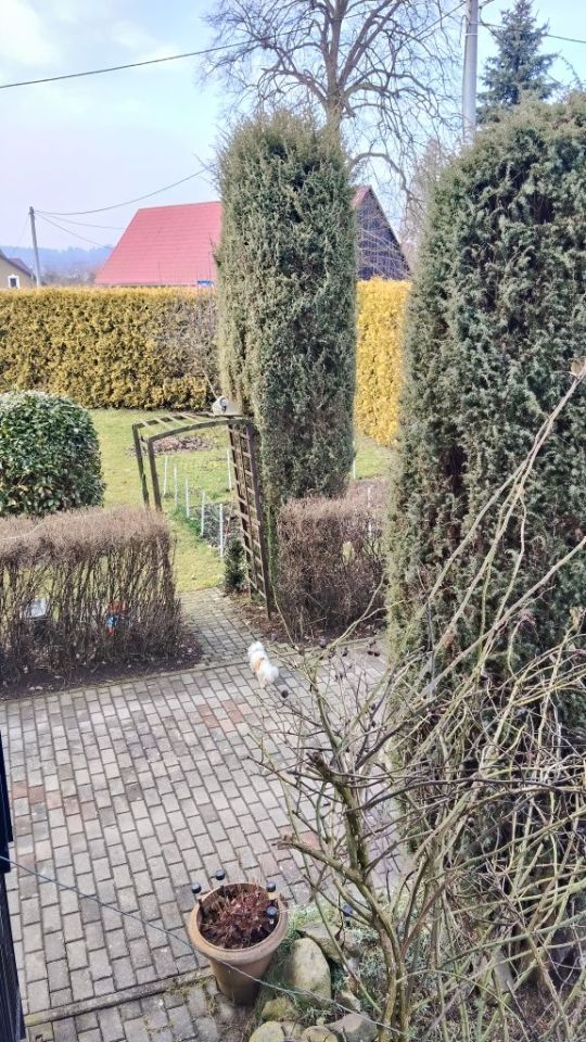 dom wolnostojący, 5 pokoi Kudowa-Zdrój. Zdjęcie 4