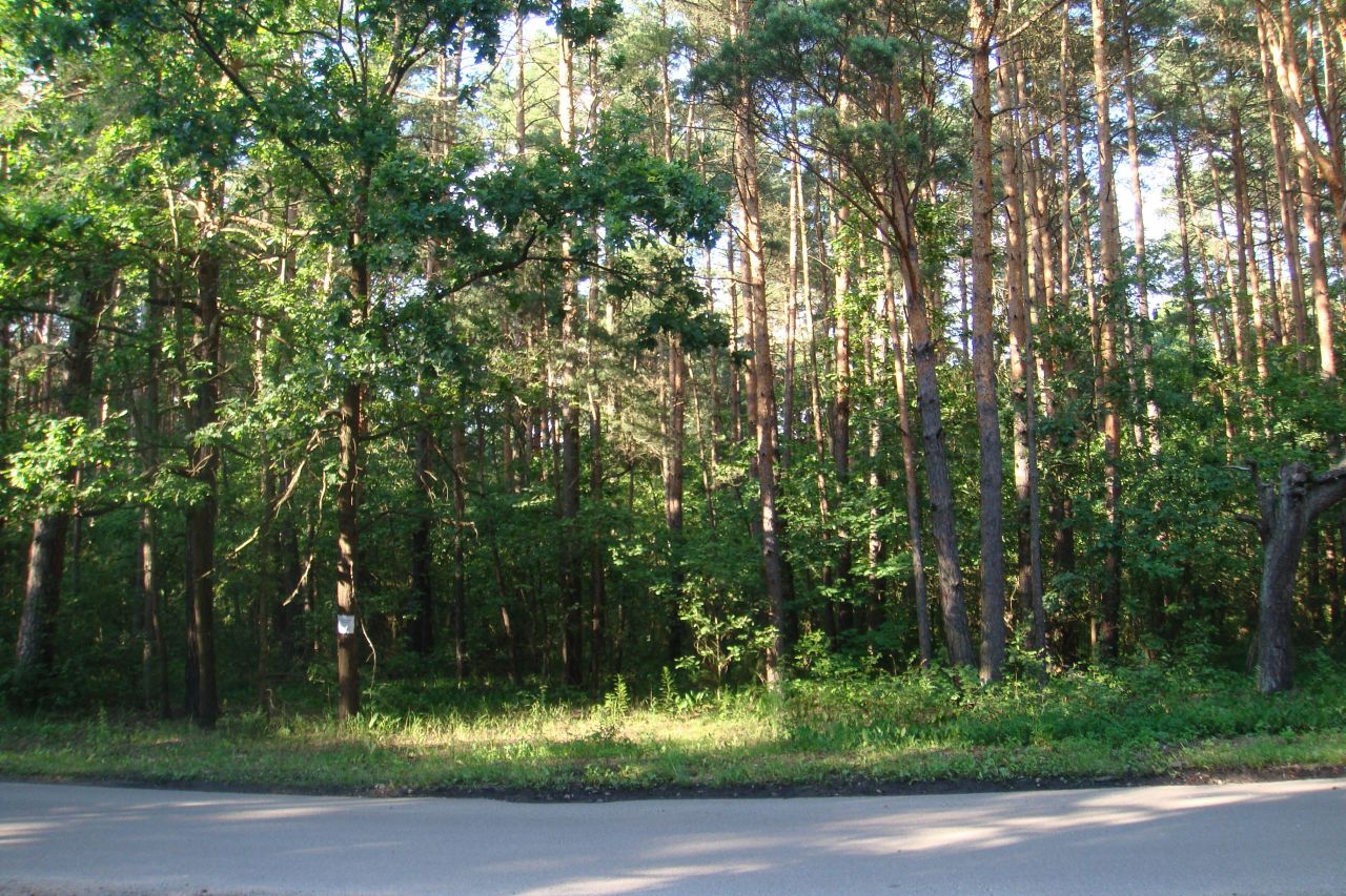 Działka rekreacyjna Urle. Zdjęcie 1