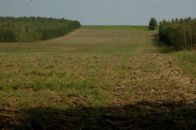 Działka rolno-budowlana Bobrownickie Pole. Zdjęcie 1