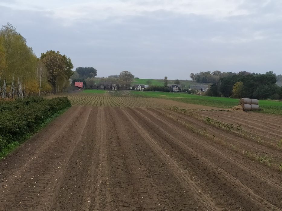 Działka rolna Wychódźc. Zdjęcie 6