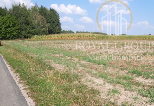 Działka rolna Rudno. Zdjęcie 3